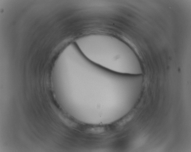 X0000062870353200601131016