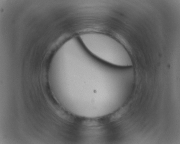 X0000062870354200601131016