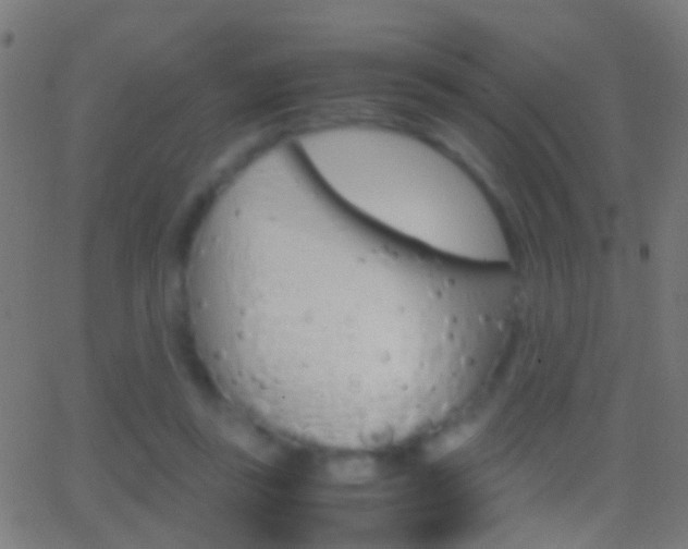 X0000062870355200601131017