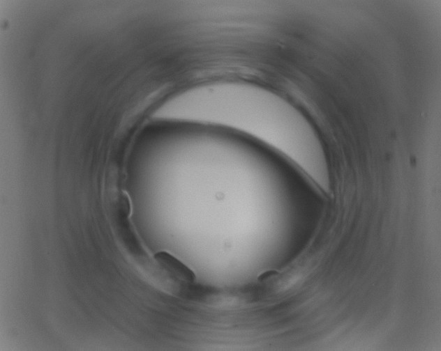 X0000062870356200601131017