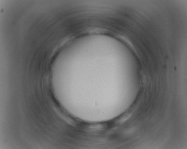 X0000062870357200601131017