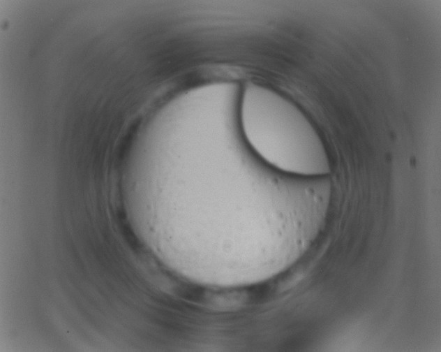 X0000062870359200601131017