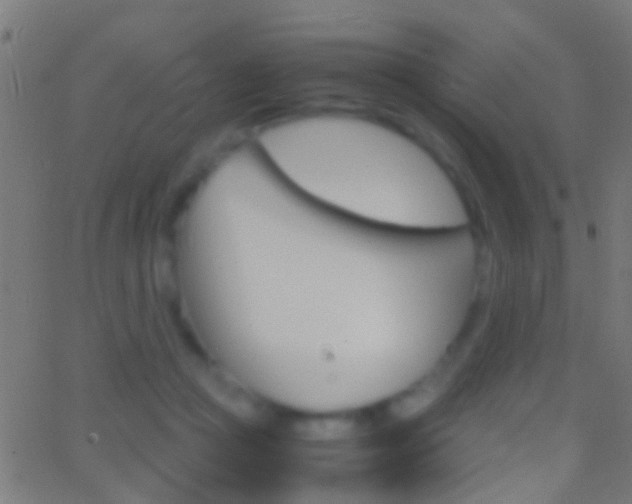 X0000062870361200601131017