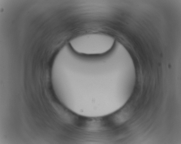 X0000062870362200601131017