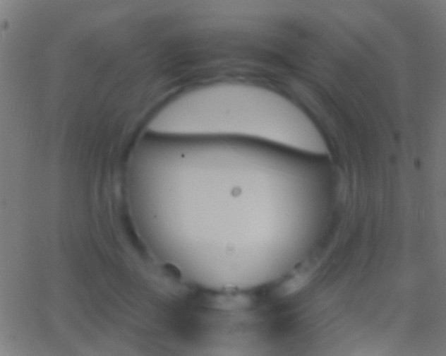 X0000062870363200601131017