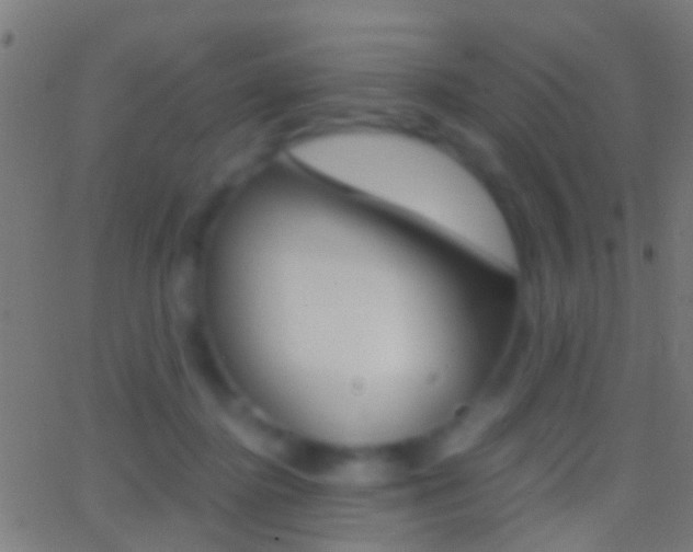 X0000062870364200601131017