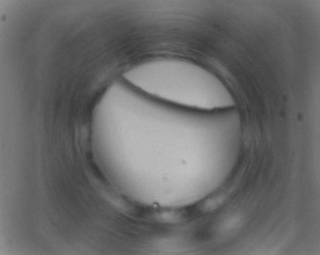 X0000062870365200601131017