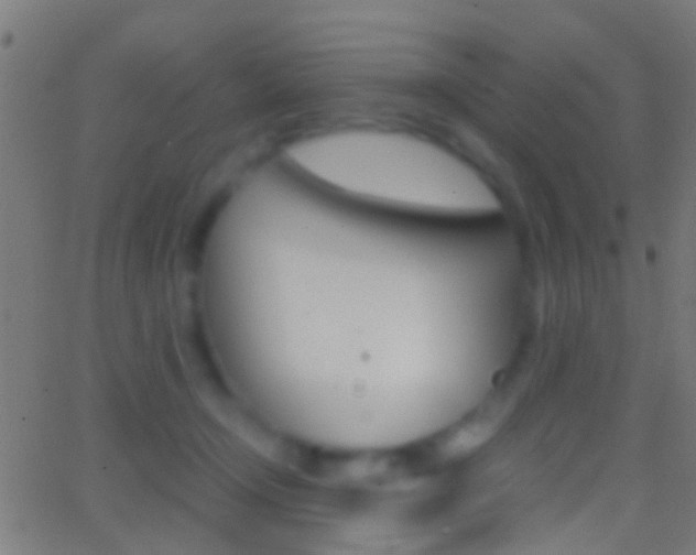 X0000062870366200601131017