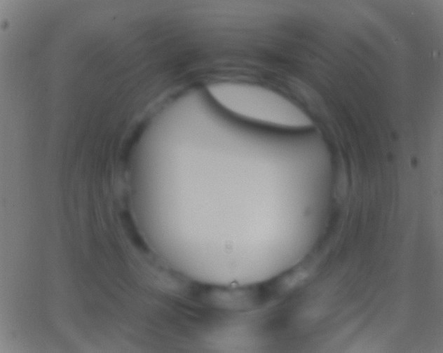 X0000062870367200601131017