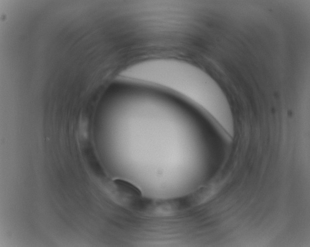 X0000062870368200601131017