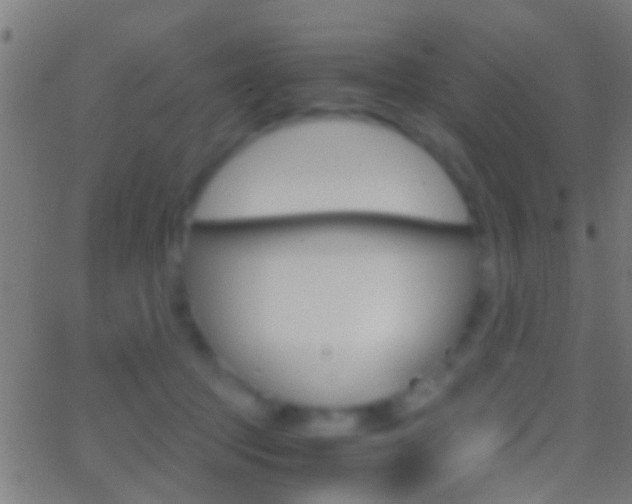 X0000062870369200601131017