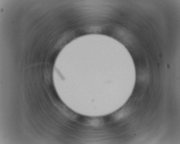 X0000062870370200601131017