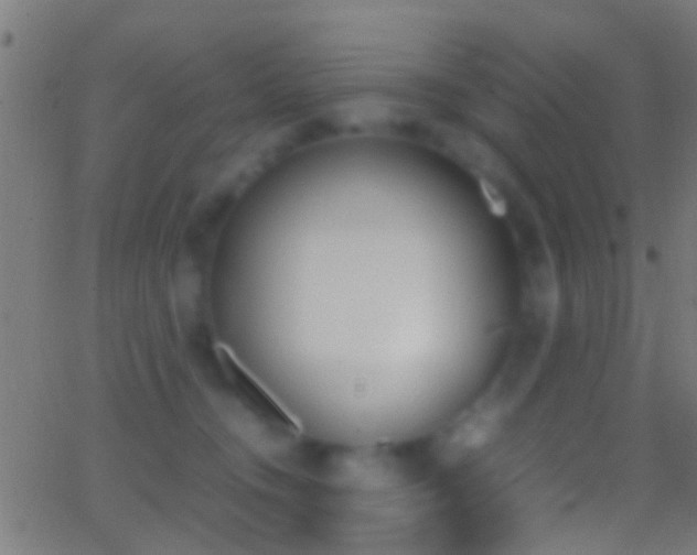 X0000062870372200601131017