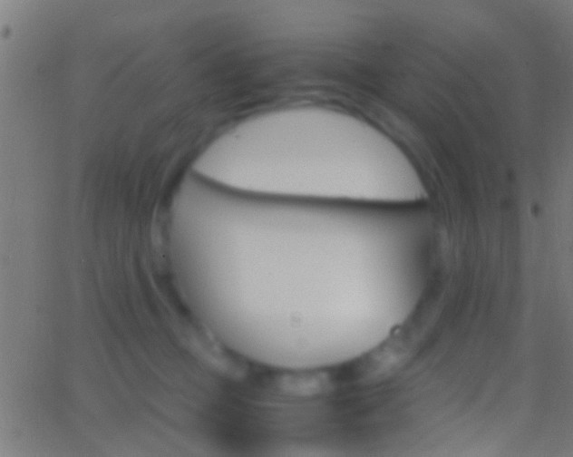 X0000062870373200601131017