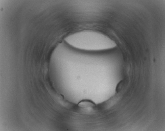 X0000062870374200601131017