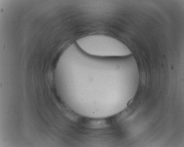 X0000062870375200601131017