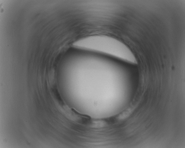 X0000062870376200601131017