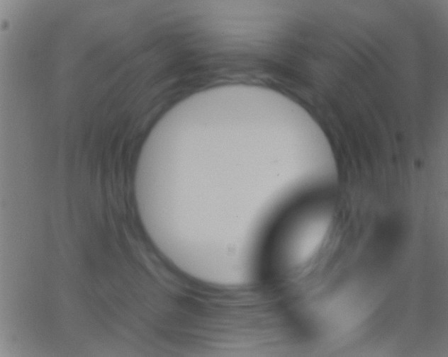 X0000062870380200601131017