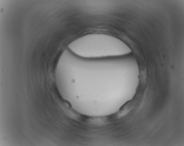 X0000062870381200601131017