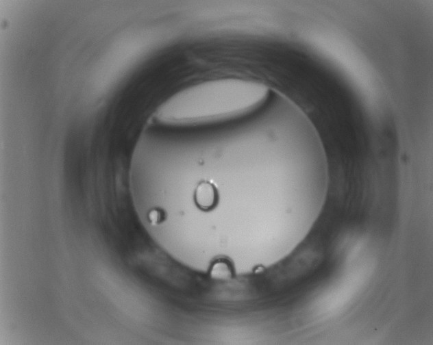 X0000062870382200601131017