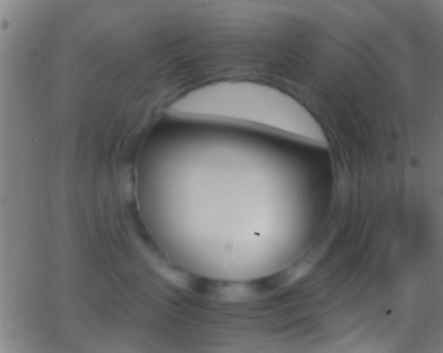 X0000062870383200601131017