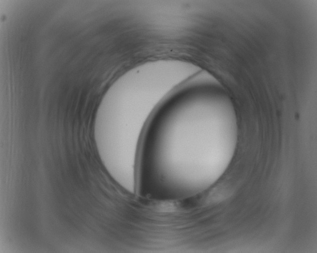 X0000062870384200601131017