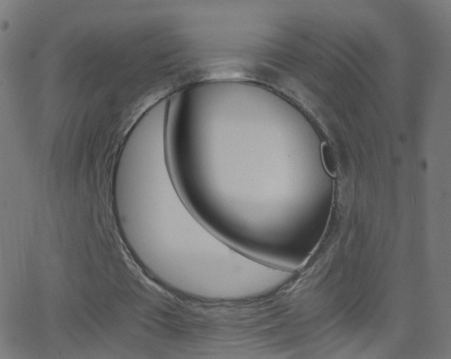 X0000062870385200601131016