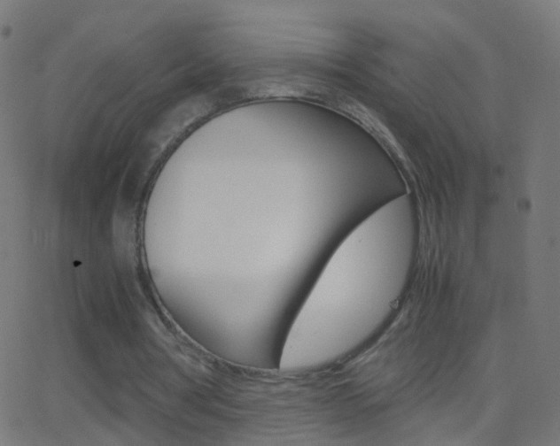 X0000062870386200601131016