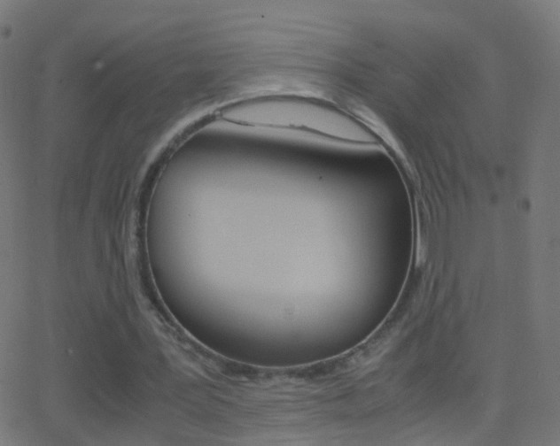 X0000062870387200601131016