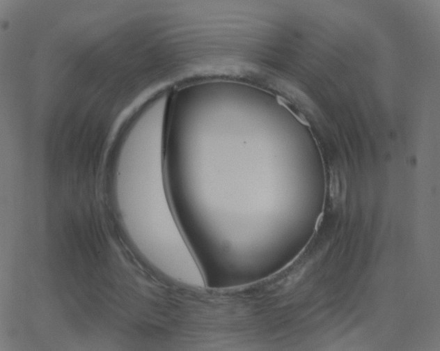 X0000062870388200601131016