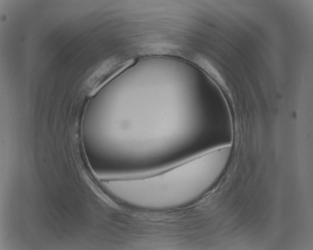 X0000062870389200601131016