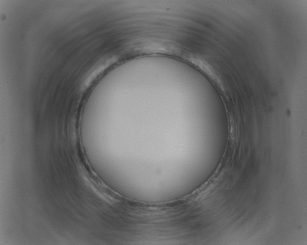 X0000062870390200601131016