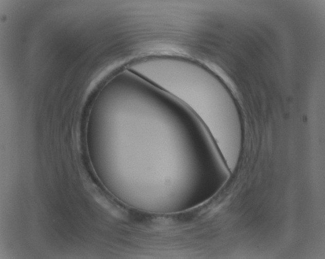 X0000062870391200601131016