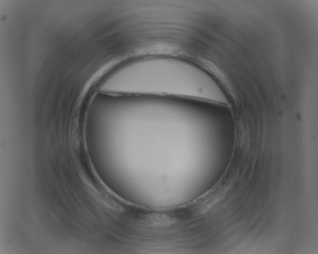 X0000062870392200601131016