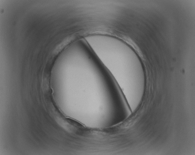 X0000062870393200601131016