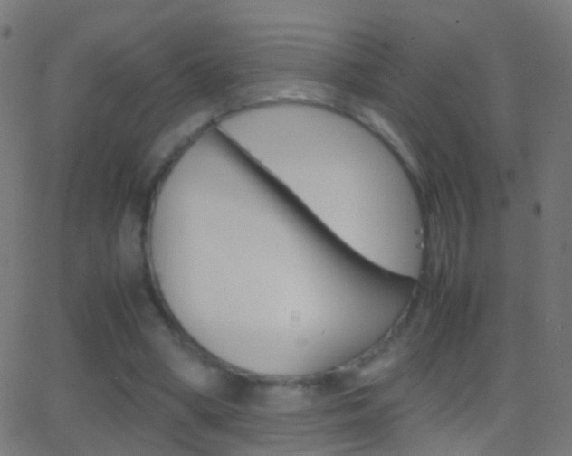 X0000062870394200601131016