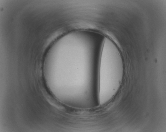 X0000062870395200601131016