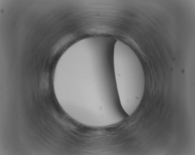 X0000062870396200601131016