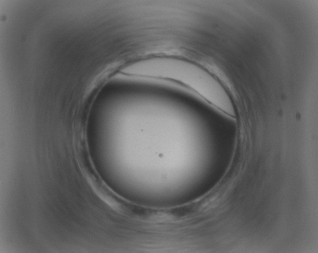 X0000062870397200601131016