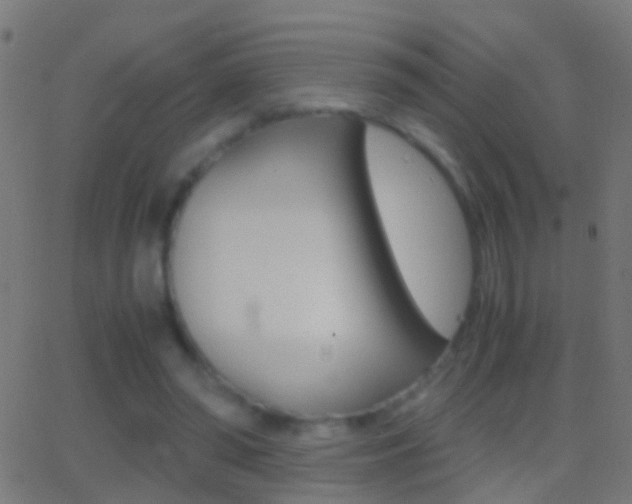 X0000062870398200601131016