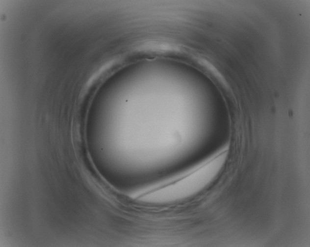 X0000062870399200601131016