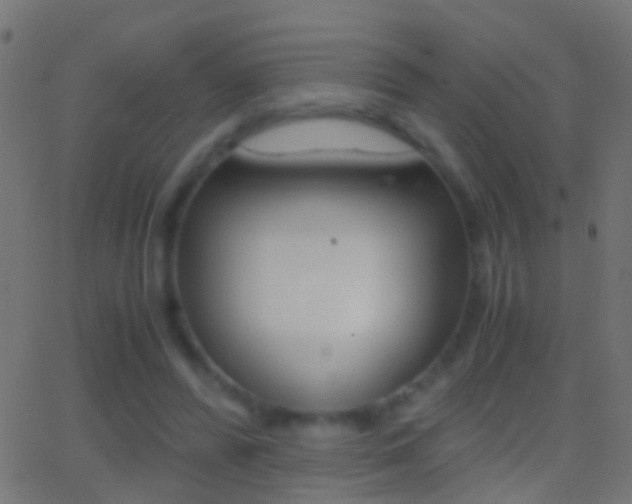 X0000062870400200601131016