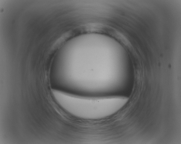 X0000062870401200601131016