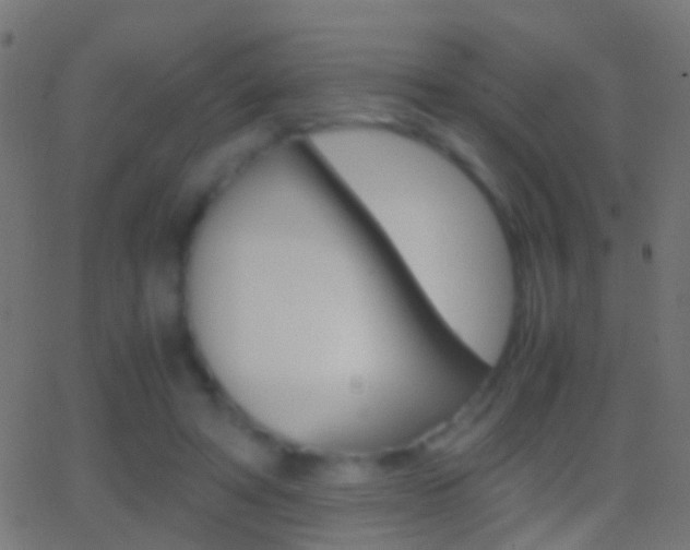 X0000062870402200601131016