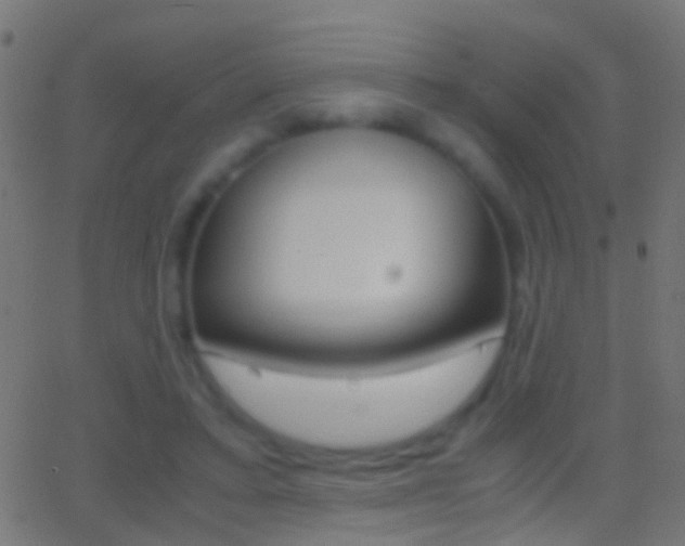 X0000062870403200601131016