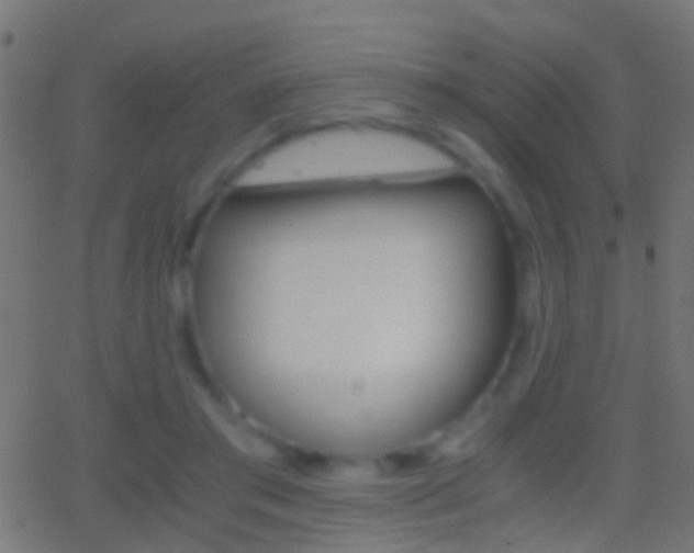 X0000062870405200601131016