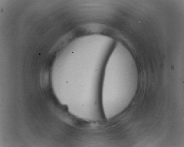 X0000062870406200601131016