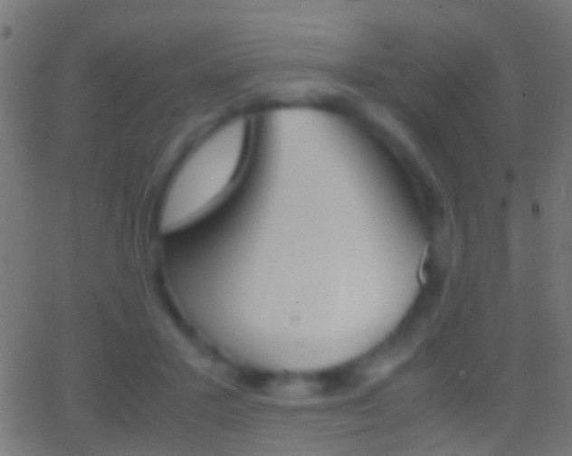 X0000062870407200601131016