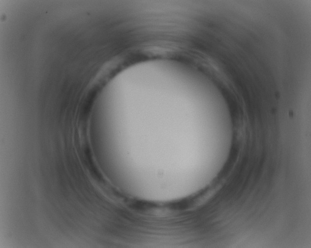 X0000062870408200601131016