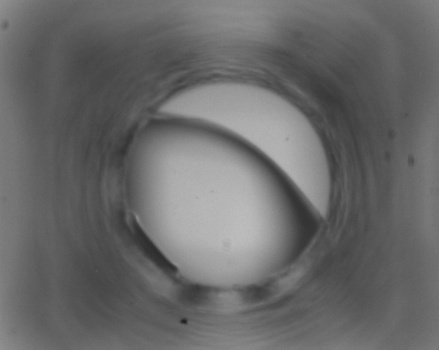 X0000062870409200601131016